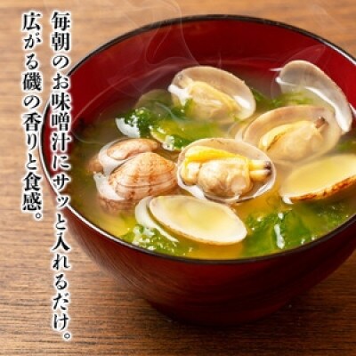 城水産 伊勢志摩産 あおさ海苔 約15g×20 三重県南伊勢町から全国へ 地域特産の香り高い青さのり