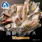 訳あり 伊勢志摩産 海鮮 お宝ボックス 約1.2kg おまかせセット 特産のお魚を城水産が全国へ