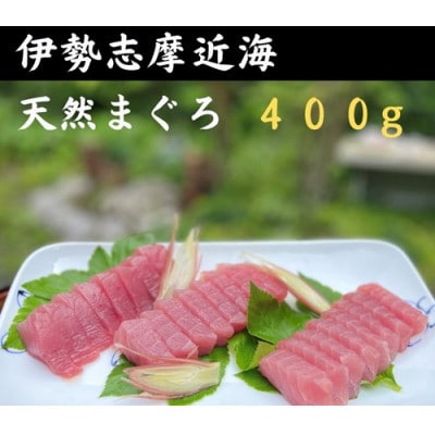 伊勢志摩産 天然キハダマグロ 約400g 刺身用 柵 とれたて新鮮な鮪を城水産が全国へお届け