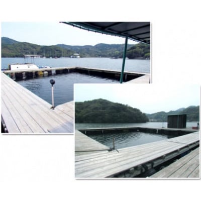 【6名】すみちゃんの釣り堀 伊勢志摩で釣り体験 城水産がお土産付きの利用券を全国へお届けします