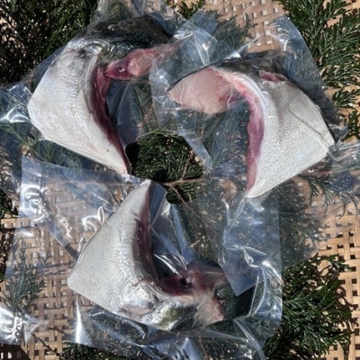 伊勢志摩産 ブリカマ 500g BBQや煮つけにオススメ 城水産 新鮮な鰤を真空パック 産地直送