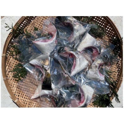伊勢志摩産 ブリカマ 1.5kg BBQや煮つけにオススメ 城水産 新鮮な鰤を真空パック 産地直送