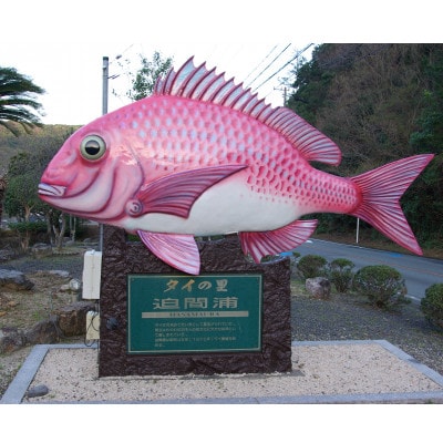 真鯛のあおさまぶし 伊勢志摩産 熟成鯛 100g 2袋 刺身カット済 産地直送 お手軽に海鮮丼が可能