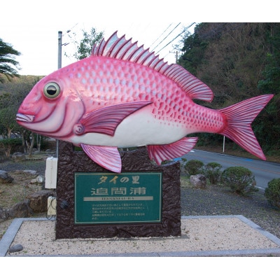 真鯛 刺身カット済 伊勢志摩産 熟成鯛 100g 3袋  産地直送 簡単調理でしゃぶしゃぶや海鮮丼