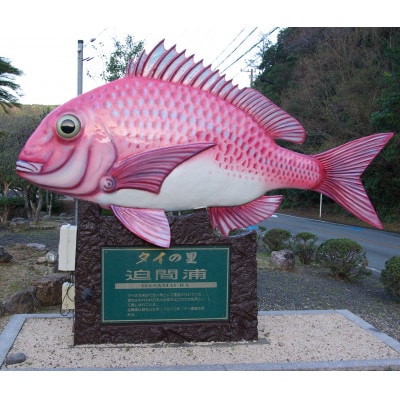 タイ ブリ 海鮮 しゃぶしゃぶ 100g 各4袋 計800g 刺身カット済 伊勢志摩産 産地直送