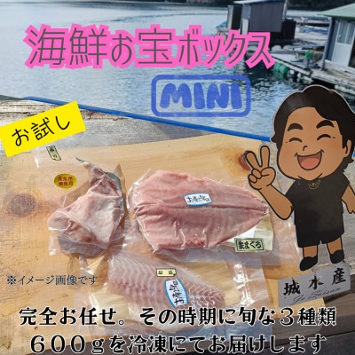 訳あり 伊勢志摩産 お試し 海鮮お宝ボックス Mini 旬な海産物 3種類 600g おまかせセット