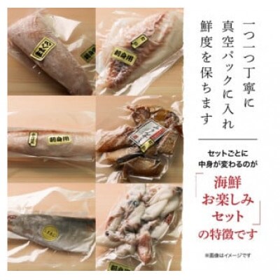 訳あり 伊勢志摩産 お試し 海鮮お宝ボックス Mini 旬な海産物 3種類 600g おまかせセット
