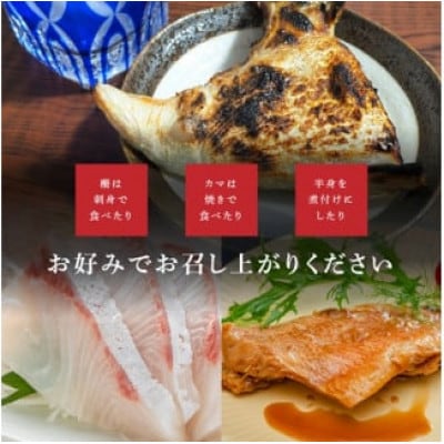 訳あり 伊勢志摩産 お試し 海鮮お宝ボックス Mini 旬な海産物 3種類 600g おまかせセット