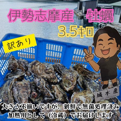 2027年2月発送 城水産の殻付き 生牡蠣　計3.5kg 伊勢志摩産 訳あり 無菌処理済み 加熱用