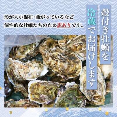 2027年2月発送 城水産の殻付き 生牡蠣　計3.5kg 伊勢志摩産 訳あり 無菌処理済み 加熱用