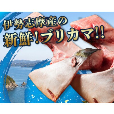 【2ヵ月毎定期便】伊勢志摩産 ブリカマ 1kg キャンプで炭火焼がオススメ 真空冷凍 新鮮な鰤全3回