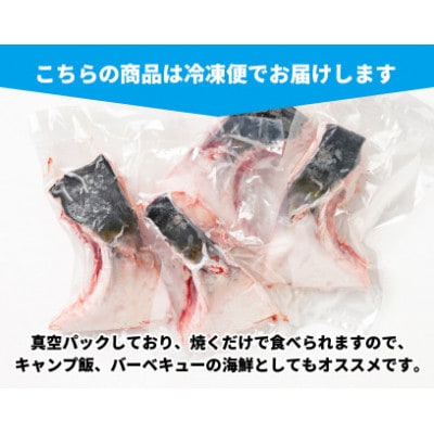 【2ヵ月毎定期便】伊勢志摩産 ブリカマ 1kg キャンプで炭火焼がオススメ 真空冷凍 新鮮な鰤全3回