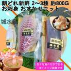 【2ヵ月毎定期便】伊勢志摩産 朝どれ 新鮮 2～3種 約800g お刺身用 おまかせセット全2回