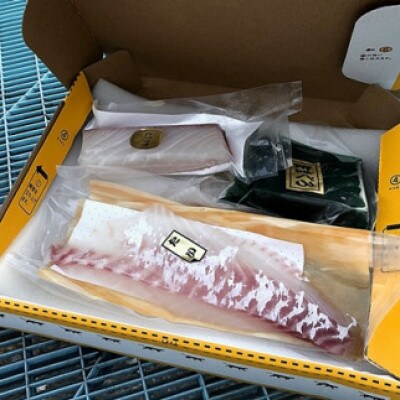 【2ヵ月毎定期便】伊勢志摩産 朝どれ 新鮮 2～3種 約800g お刺身用 おまかせセット全2回