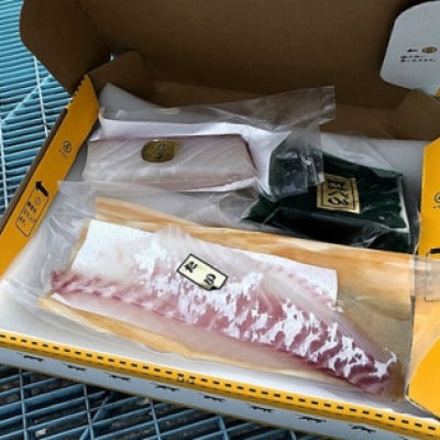 【2ヵ月毎定期便】伊勢志摩産 朝どれ 新鮮 2～3種 約800g お刺身用 おまかせセット全3回