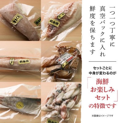 【発送月固定定期便】3・5月 訳あり 伊勢志摩産 海鮮 お宝ボックス 約1.2kg おまかせ全2回