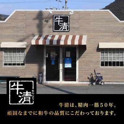 牛清 特製みそダレ Aセット 牛ホルモン200g×1、豚肉×1 BBQで活躍する牛肉とぶた肉の味噌漬