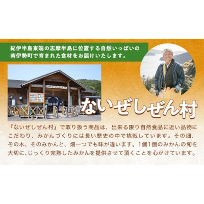 伊勢志摩産 こだわり みかん 約6kg 令和7年10月末発送 ないぜ しぜん村 ふるさとの爽やかな味
