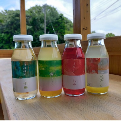伊勢志摩 ジュース  アソート4種  みかん 梅 しそ セミノール ないぜ しぜん村の飲料