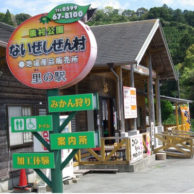 伊勢志摩産 不知火(しらぬい)11個 化粧箱 令和7年4月発送 ないぜしぜん村 ふるさとのフルーツ