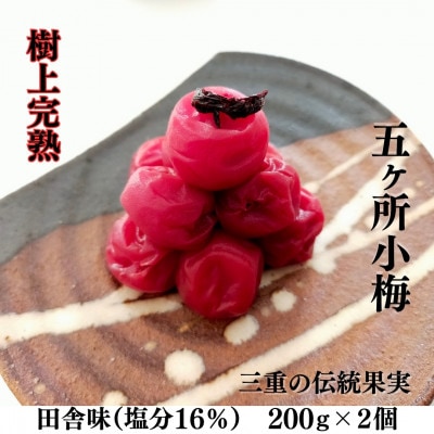 伊勢志摩産 梅干 五ヶ所小梅 田舎味 200g 2個 無添加 とろける 樹上 完熟  塩分 16%