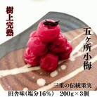 伊勢志摩産 梅干 五ヶ所小梅 田舎味 200g 3個 無添加 とろける 樹上 完熟  塩分 16%