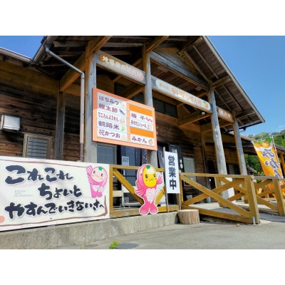 伊勢志摩産 不知火(しらぬい)8個 化粧箱 ないぜしぜん村 みかんの町南伊勢町　甘く濃厚なフルーツ