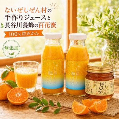 伊勢志摩の恵み お試しセット ないぜしぜん村 無添加100%粒みかんジュース2本と百花蜜はちみつ