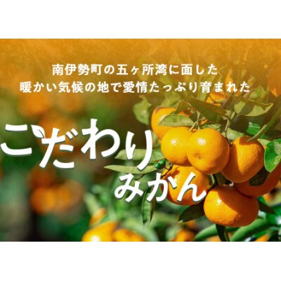 【毎月定期便】伊勢志摩産 こだわり とれたて みかん 約6kg 産地直送 地物ブランドフルーツ全2回