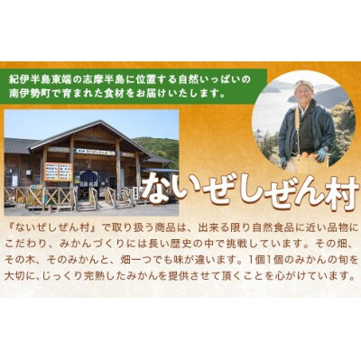 【毎月定期便】伊勢志摩産 こだわり とれたて みかん 約6kg 産地直送 地物ブランドフルーツ全2回