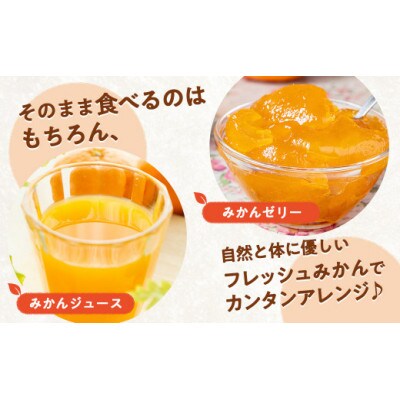 【毎月定期便】伊勢志摩産 こだわり とれたて みかん 約6kg 産地直送 地物ブランドフルーツ全3回