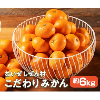 【発送月固定定期便】伊勢志摩産 こだわり みかん 約6kg 産地直送 地物ブランドのフルーツ便全2回