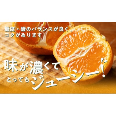 【発送月固定定期便】伊勢志摩産 こだわり みかん 約6kg 産地直送 地物ブランドのフルーツ便全2回