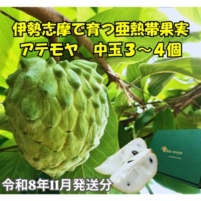 伊勢志摩産 アテモヤ 中玉 3～4個入 約1.2kg 令和8年11月発送 南伊勢ブランド認定フルーツ