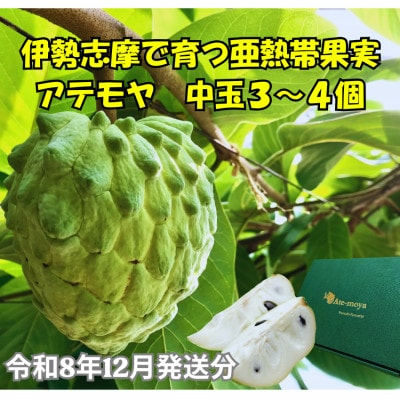 伊勢志摩産 アテモヤ 中玉 3～4個入 約1.2kg 令和8年12月発送 南伊勢ブランド認定フルーツ