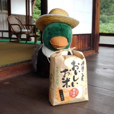 カモしゃん米　精米5kg
