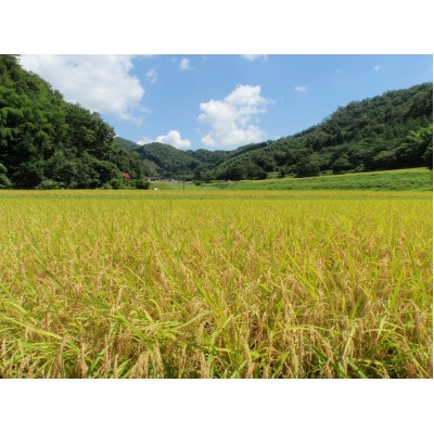 島根県飯南町産コシヒカリ(2kg×4袋)