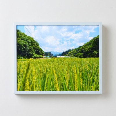 GOSHIKI FRAME【夏空・Sサイズ】(町産ヒノキのフォトフレーム)