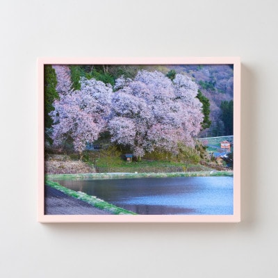 GOSHIKI FRAME【春桜・Lサイズ】(町産ヒノキのフォトフレーム)