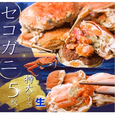 セコガニ 特大サイズ150～190g×5枚 ご進物用(活生)【到着日指定不可】