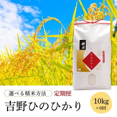 《選べる精米方法》定期便　吉野ひのひかり10kg×半年分【白米】