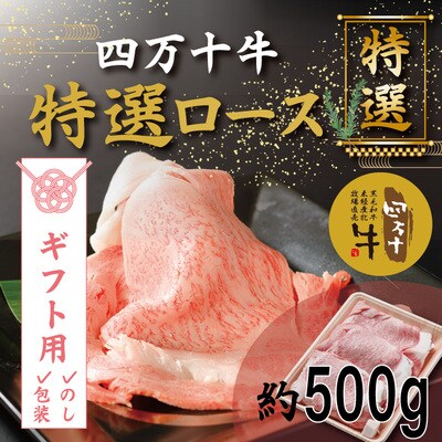 【ギフト用】四万十牛特選ローススライス(すき焼き・しゃぶしゃぶ用)約500g R5-974G
