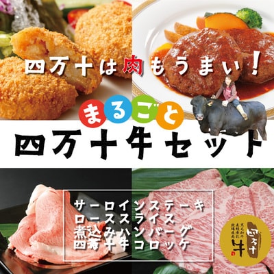 四万十牛セット(サーロインステーキ・ローススライス・煮込みハンバーグ・四万十牛コロッケ)R5-021