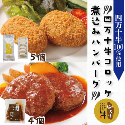 四万十牛煮込みハンバーグ・四万十牛コロッケセット (ハンバーグ4個・コロッケ5個 )  R5-017