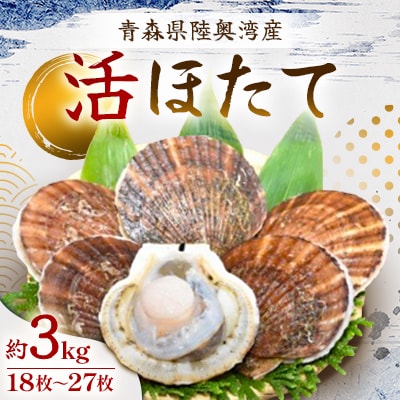 活ほたて　約3kg(18枚～27枚) 青森県陸奥湾産