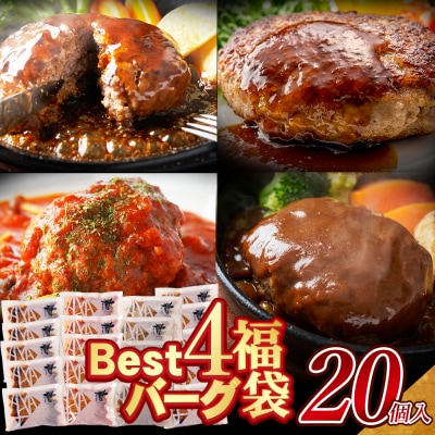 Best4バーグ ハンバーグ 20個セット(合挽4種 各5個)