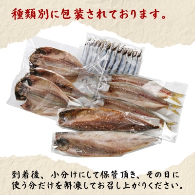 魚伝特製干物セット詰め合わせ 真鶴町返礼品人気ランキングNo.1 (冷凍)