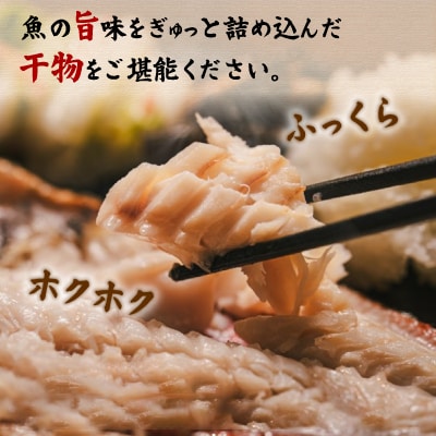 魚伝特製干物セット詰め合わせ 真鶴町返礼品人気ランキングNo.1 (冷凍)