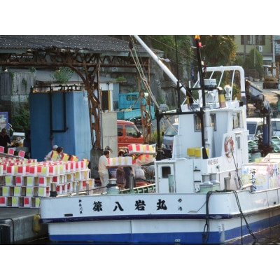 西湘の景勝地「岩海岸」の夏の風物詩として、歴史ある灯籠流し。先祖供養・祈願の灯籠の申込み