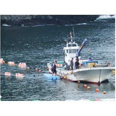 西湘の景勝地「岩海岸」の夏の風物詩として、歴史ある灯籠流し。先祖供養・祈願の灯籠の申込み